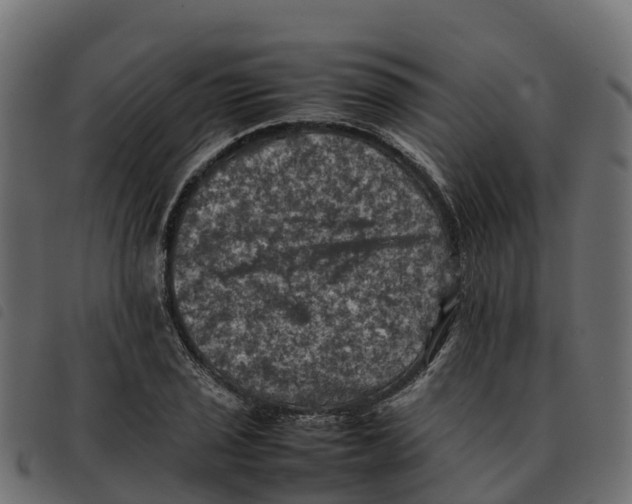 X0000092221029200710121152