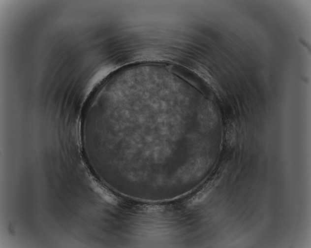 X0000092221030200710121152