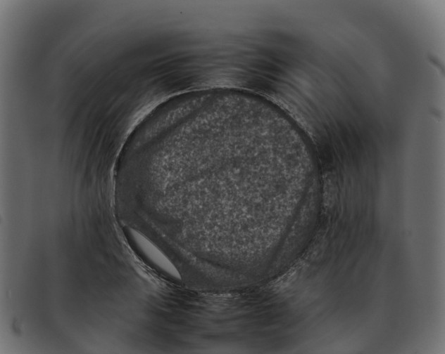 X0000092221031200710121152