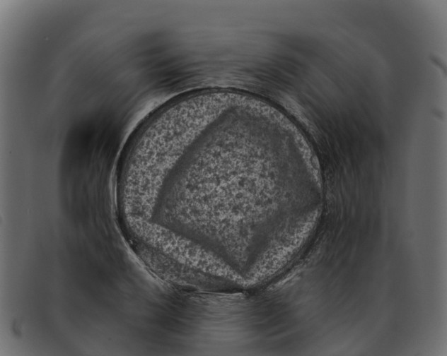X0000092221032200710121152