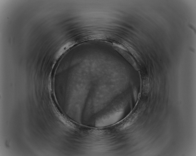 X0000092221034200710121152