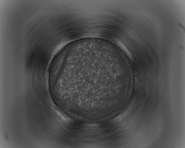 X0000092221035200710121152