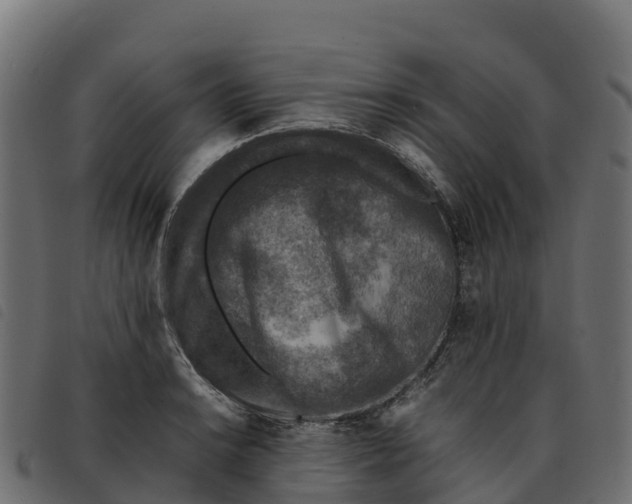 X0000092221038200710121152