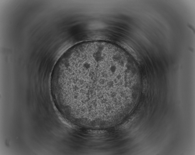 X0000092221039200710121152