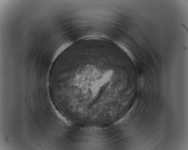 X0000092221042200710121153