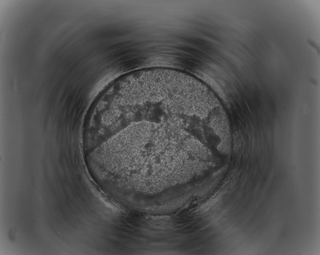 X0000092221043200710121153