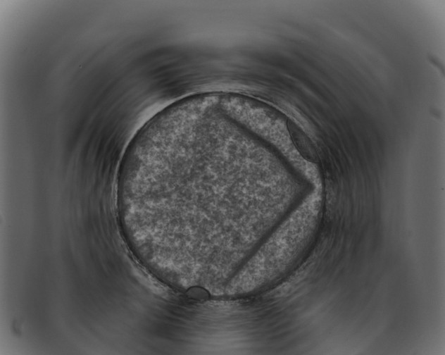 X0000092221044200710121153