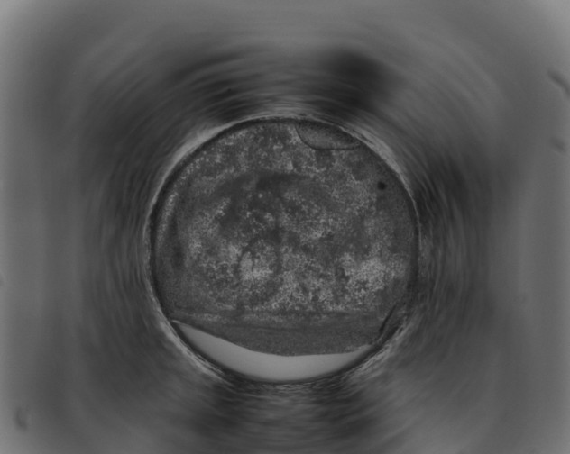 X0000092221045200710121153