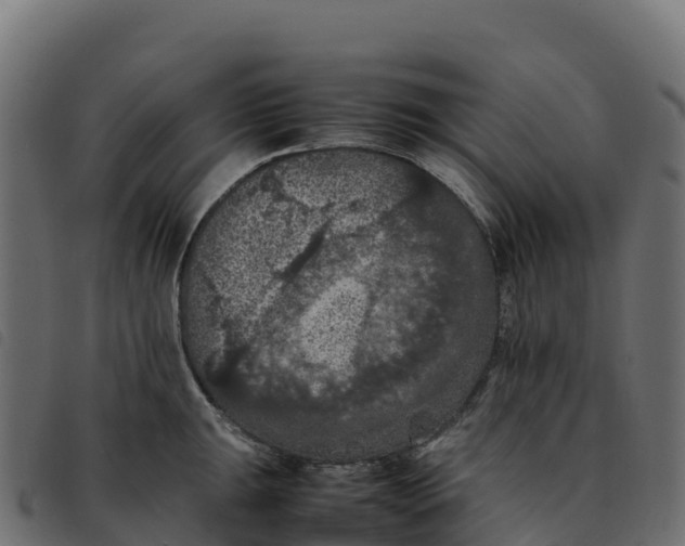 X0000092221047200710121153