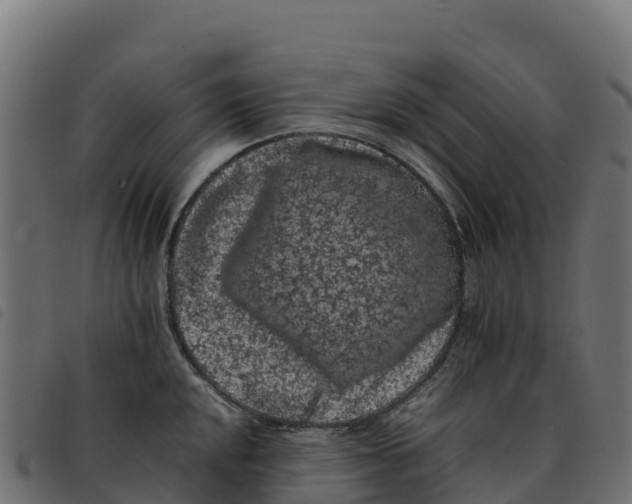 X0000092221048200710121153