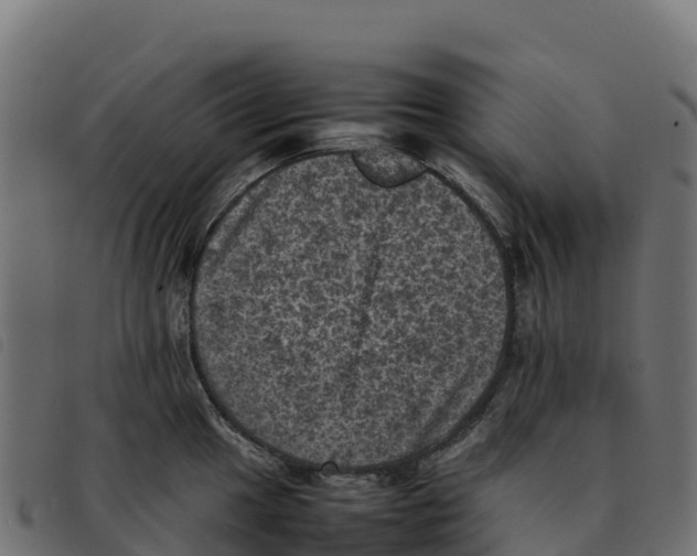 X0000092221049200710121153