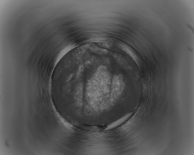 X0000092221050200710121153