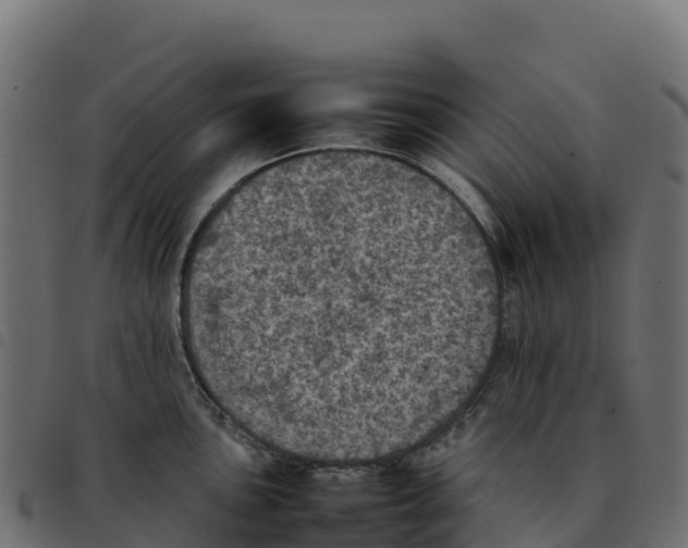 X0000092221051200710121153