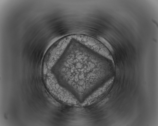 X0000092221052200710121153