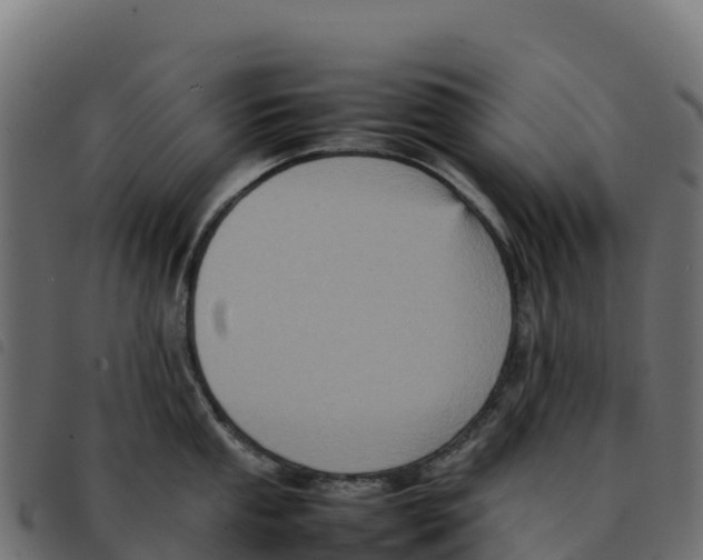 X0000092221053200710121153