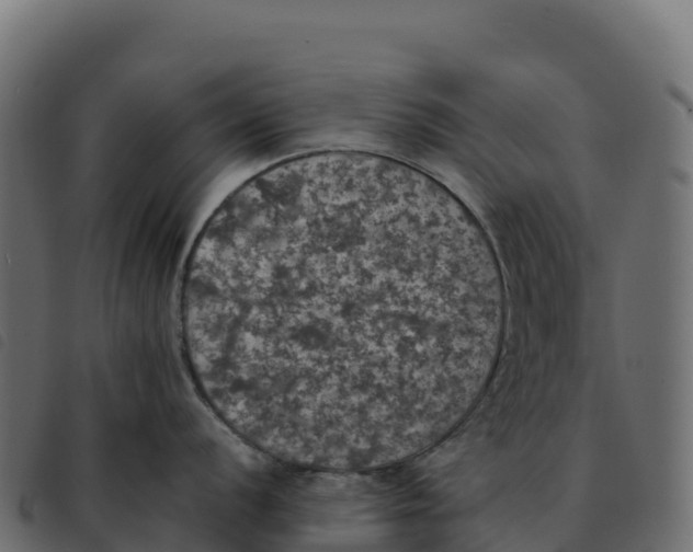 X0000092221056200710121153