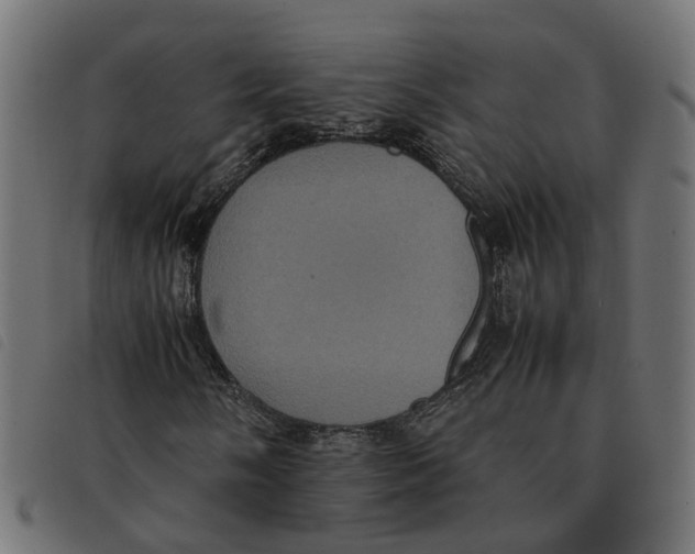 X0000092221058200710121152