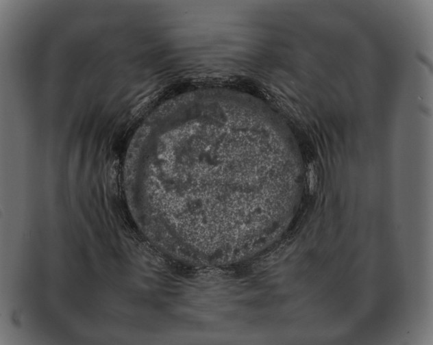 X0000092221059200710121152