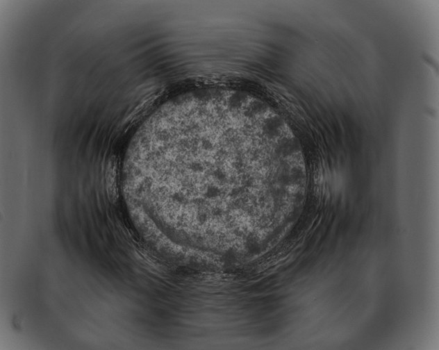 X0000092221060200710121152