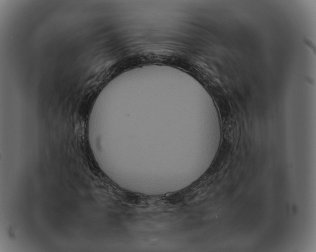 X0000092221061200710121152