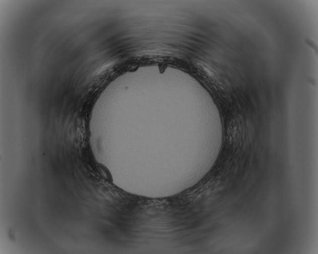 X0000092221062200710121152