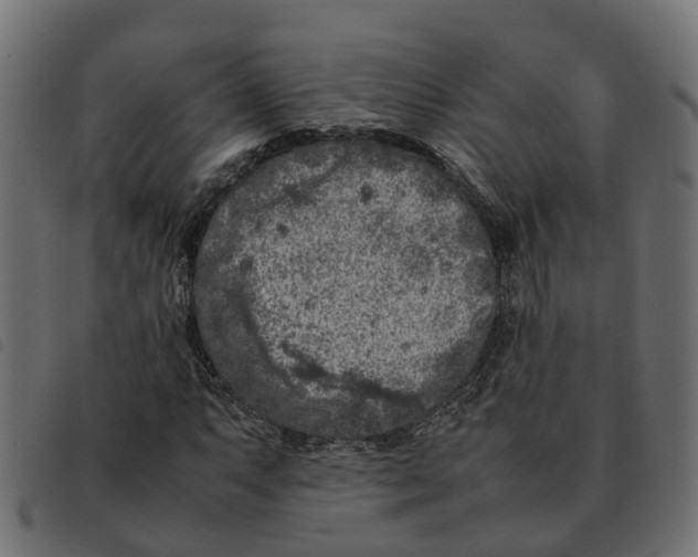 X0000092221063200710121152