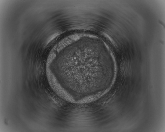 X0000092221064200710121152