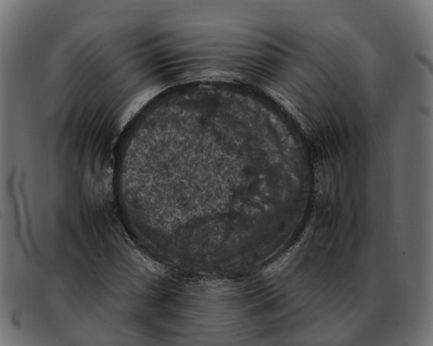 X0000092221066200710121152