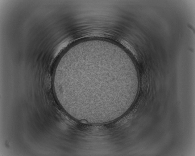 X0000092221067200710121152