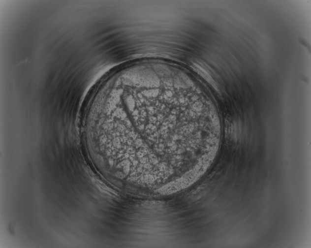 X0000092221068200710121152