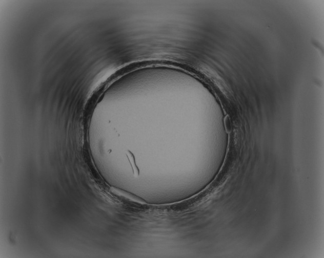 X0000092221069200710121152