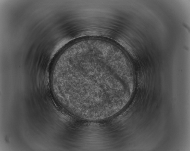 X0000092221070200710121152