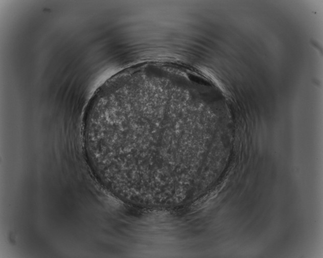 X0000092221071200710121152