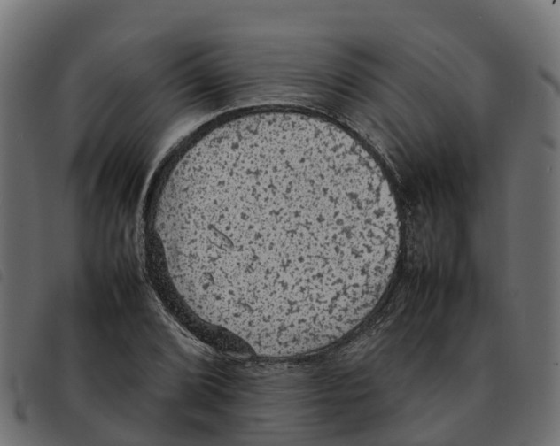 X0000092221072200710121152