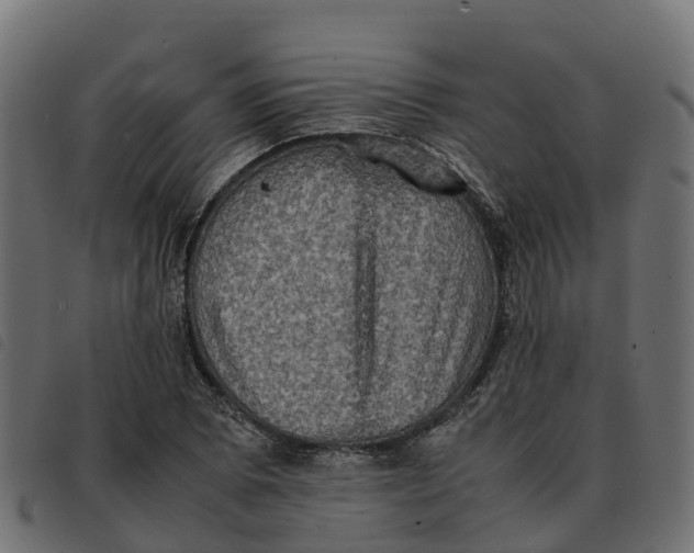 X0000092221073200710121152