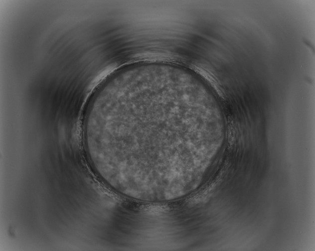 X0000092221074200710121152