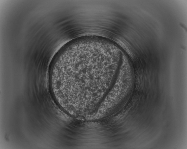 X0000092221076200710121152