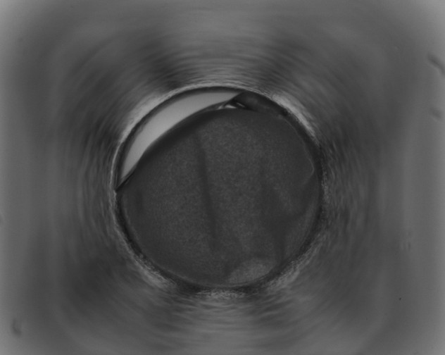 X0000092221077200710121152
