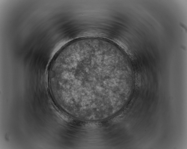 X0000092221078200710121152