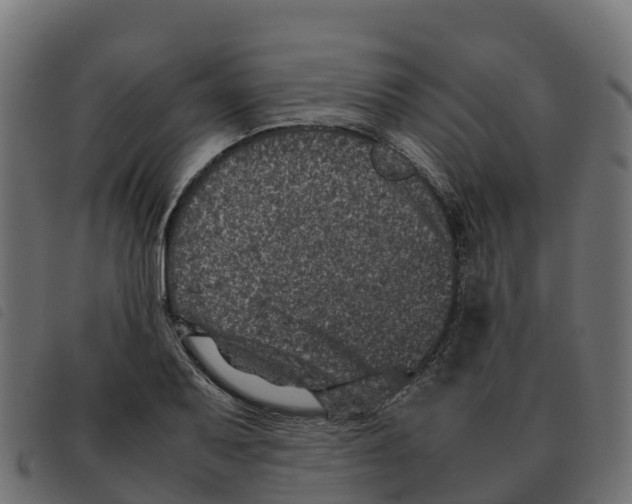 X0000092221079200710121152