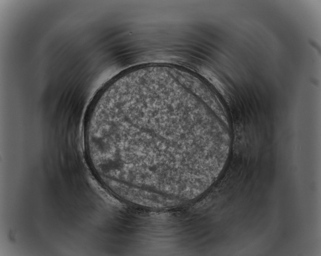 X0000092221080200710121152