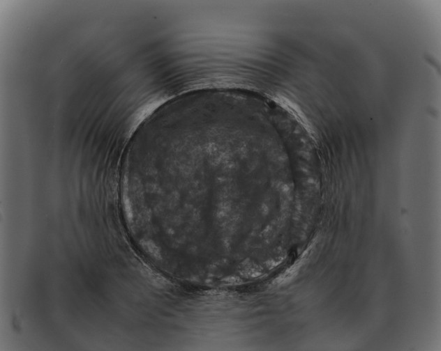 X0000092221081200710121152