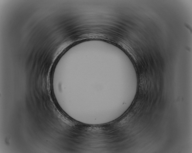 X0000092221082200710121152