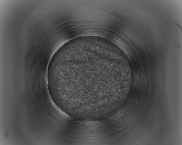 X0000092221084200710121152
