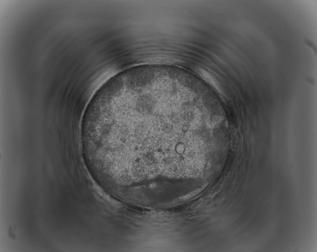 X0000092221087200710121152