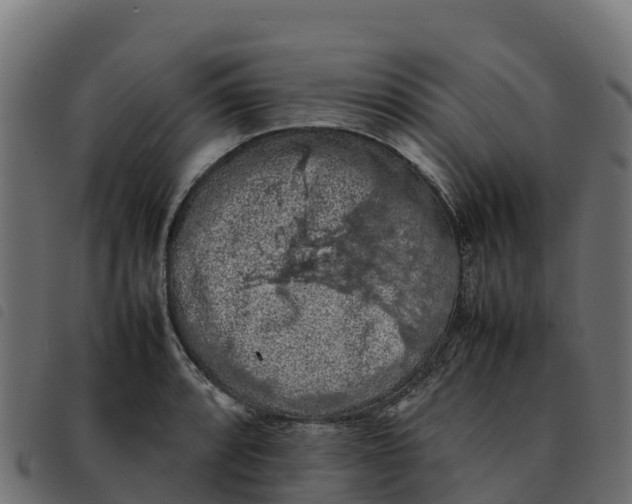 X0000092221088200710121152
