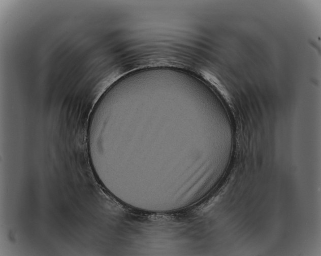X0000092221089200710121152