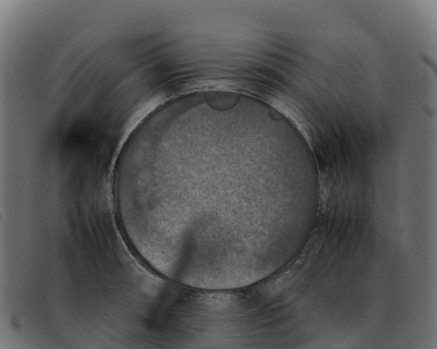 X0000092221090200710121152