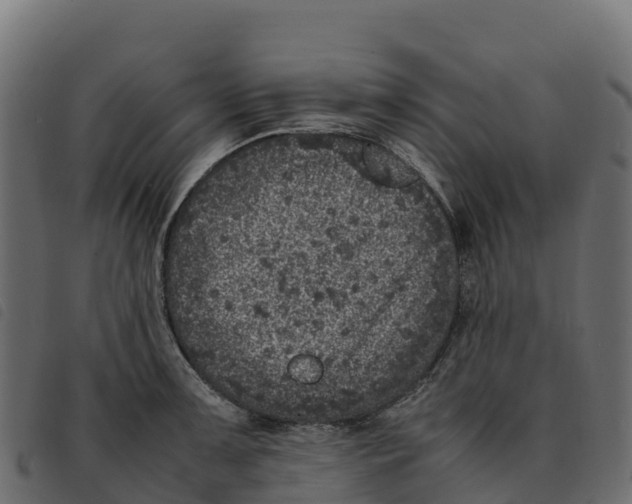 X0000092221091200710121152
