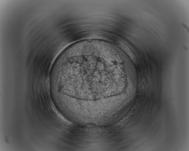 X0000092221092200710121152